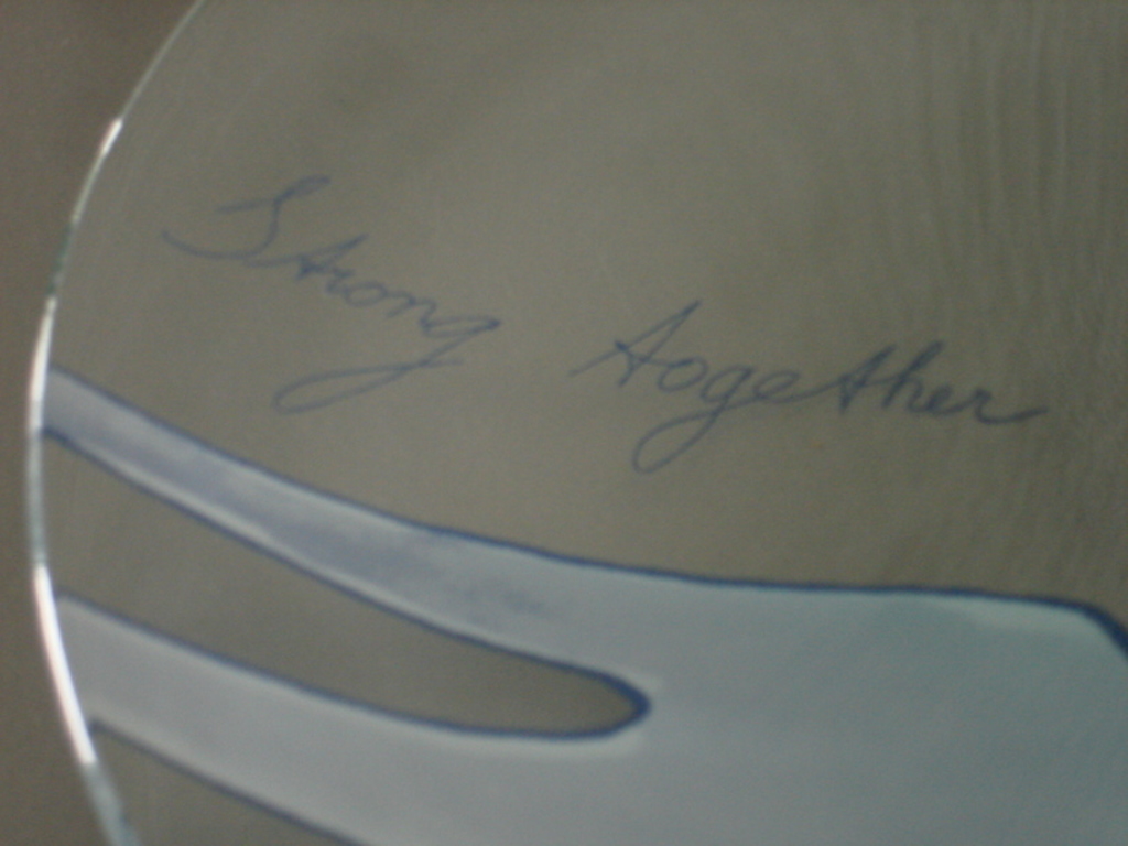 Corry Ammerlaan - Van Niekerk: glazen schaal  kopen? Bied vanaf 12!