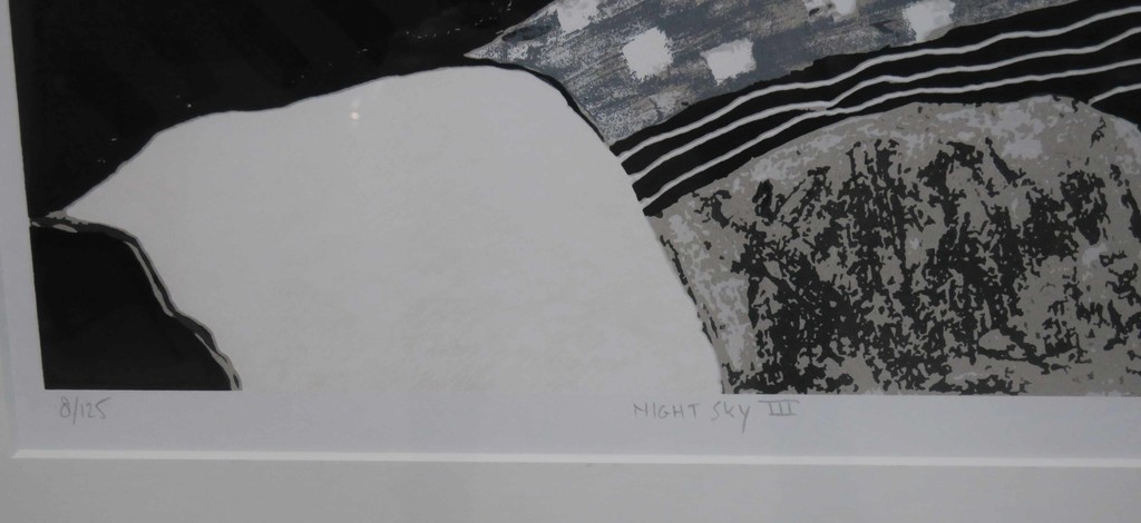 Ronald Boonacker: Zeefdruk, Night Sky III - Ingelijst kopen? Bied vanaf 50!