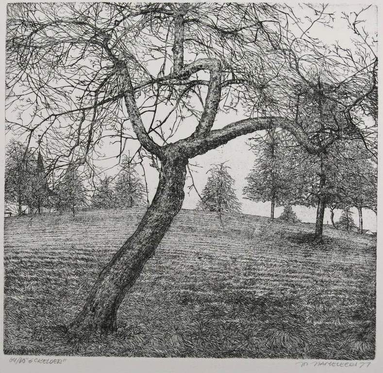 Jos Hameleers: Ets, Bomenlandschap kopen? Bied vanaf 35!