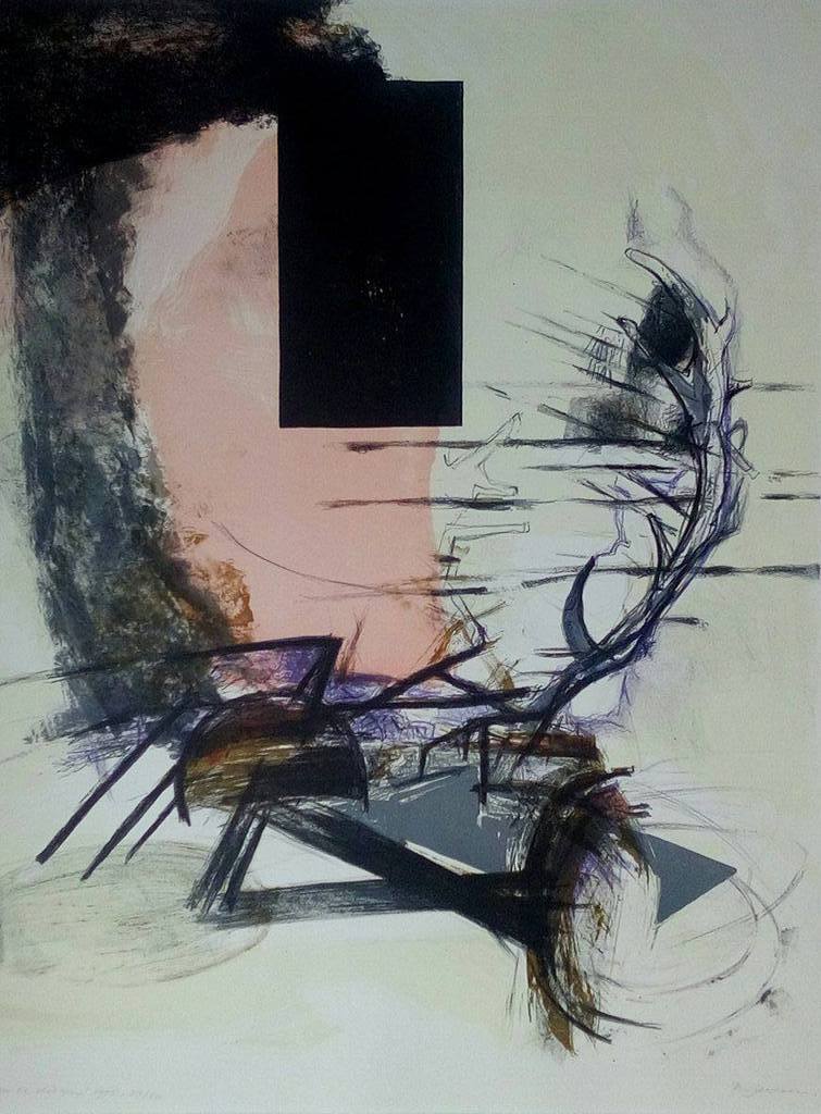 André Dieteren: Litho, 'Om Te Vliegen' verkocht voor € 40!