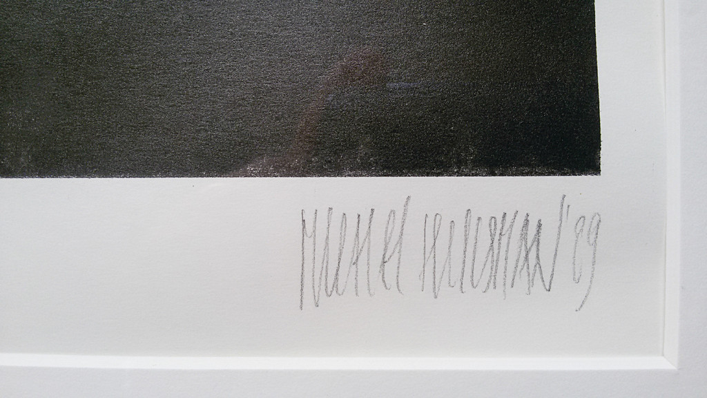 Michel Huisman - Snake (hiding), zeefdruk (ingelijst, groot) kopen? Bied vanaf 80!