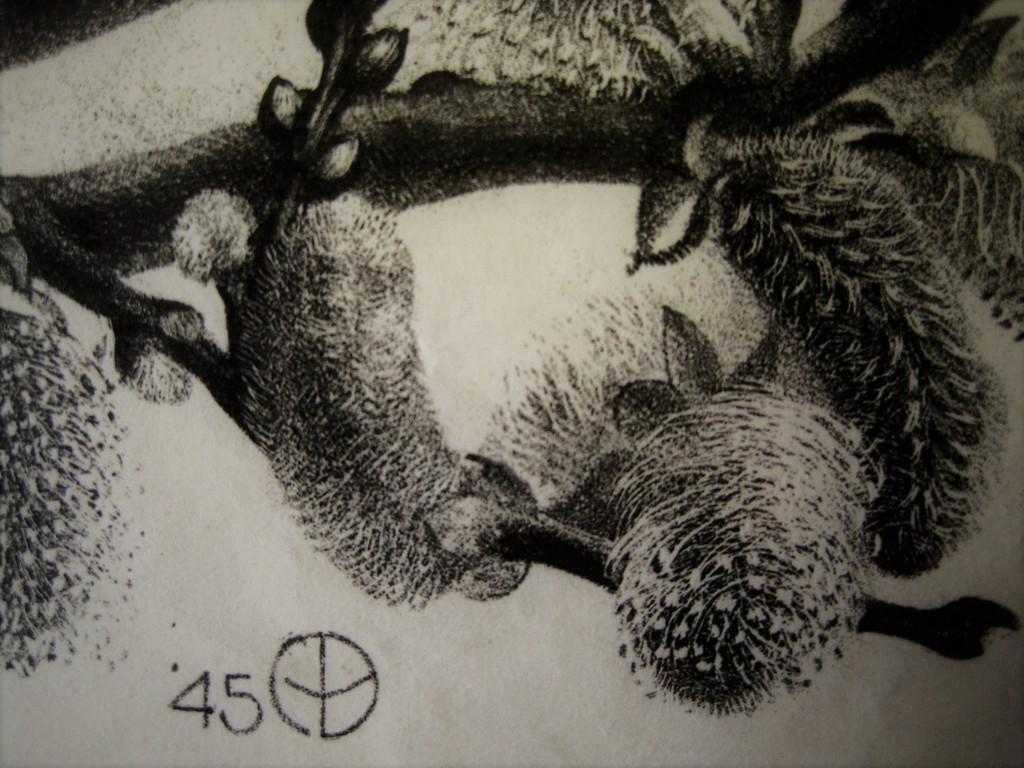 Magnifiek Grafisch werk van A van Dobbenburgh "Appelvink" gesigneerd 1945 kopen? Bied vanaf 1!