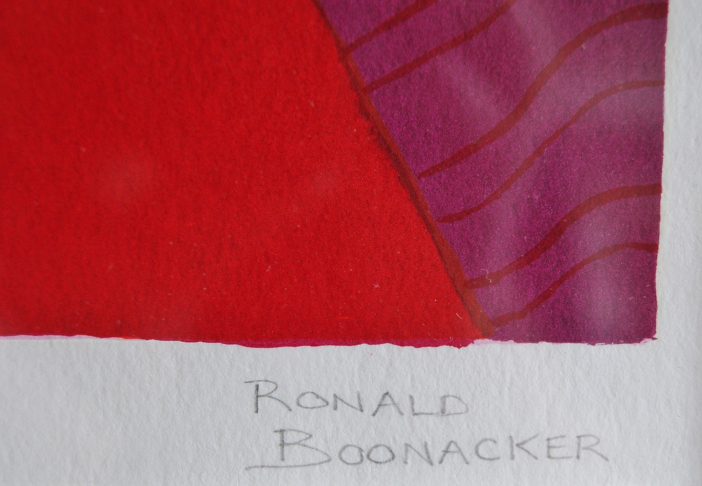 Ronald Boonacker zeefdruk 'Tanzania II' ingelijst. kopen? Bied vanaf 75!