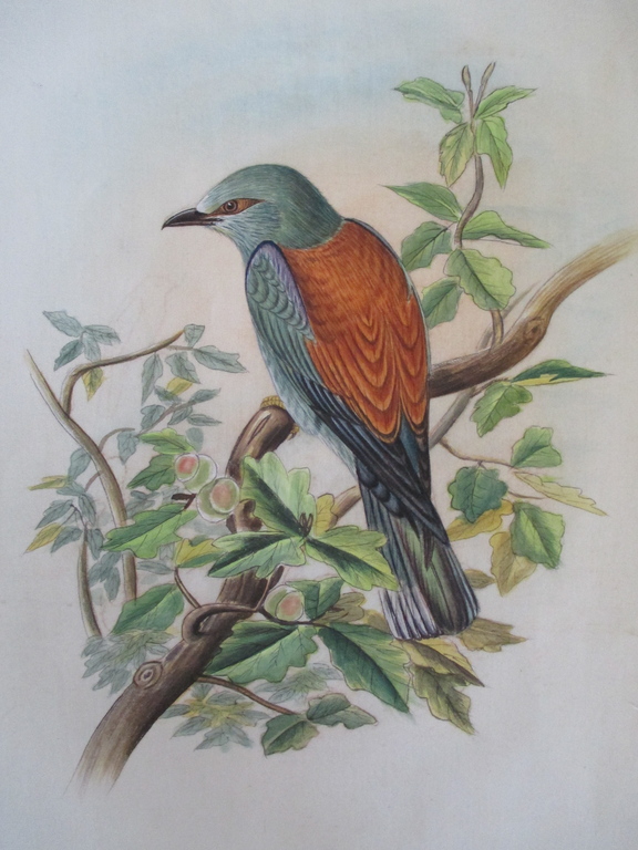 4x Handbeschilderd zijden doek: vogels kopen? Bied vanaf 1!