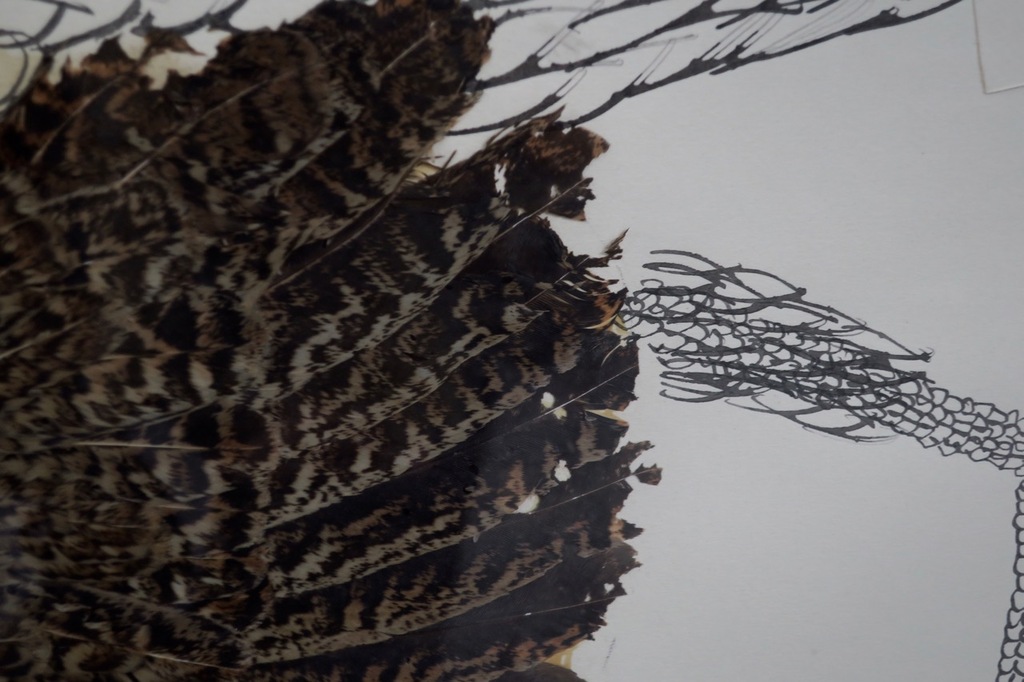 Carel Visser: Gemengde techniek op papier, Hanen - Ingelijst (Groot) kopen? Bied vanaf 500!