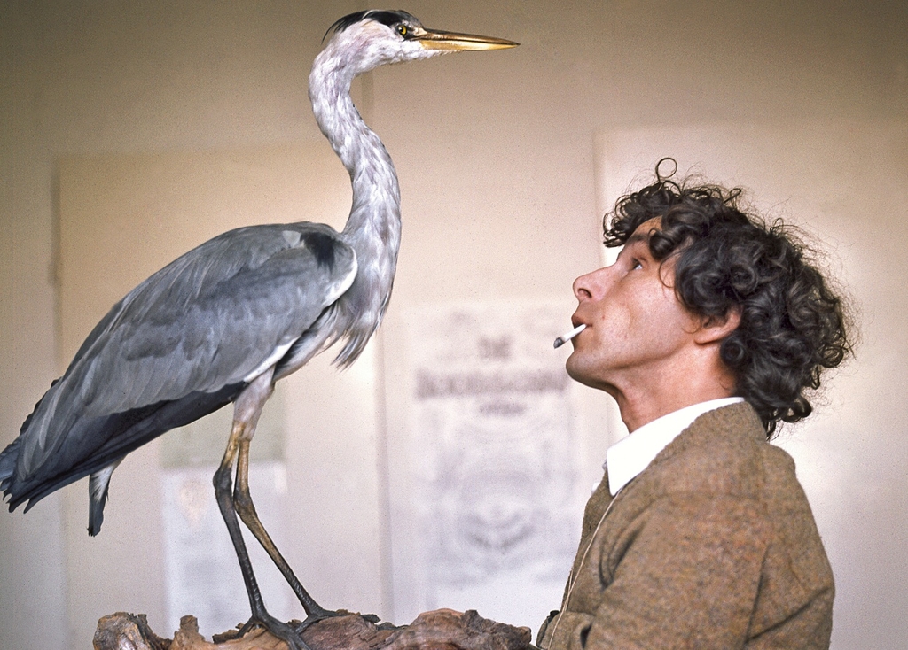 Peter Vos - Podargus strigoides, droge naald ets (eerste druk) kopen? Bied vanaf 115!