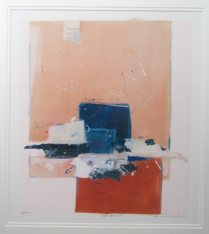 Ron van der Werf: Zeefdruk, Symfonie II - Ingelijst (groot) kopen? Bied vanaf 60!