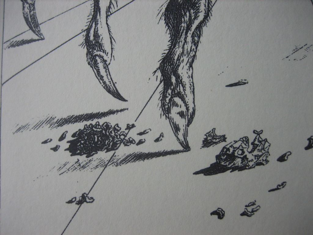Salvador Dali - Mygale Spider - Lithografie - Oplage 2500 ex - 1944 kopen? Bied vanaf 1!