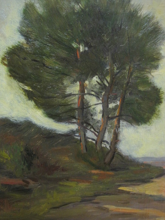 X.Munninghoff 1873-1944 "Hoge Veluwe heidelandschap" gesig. ca 1910 kopen? Bied vanaf 1!