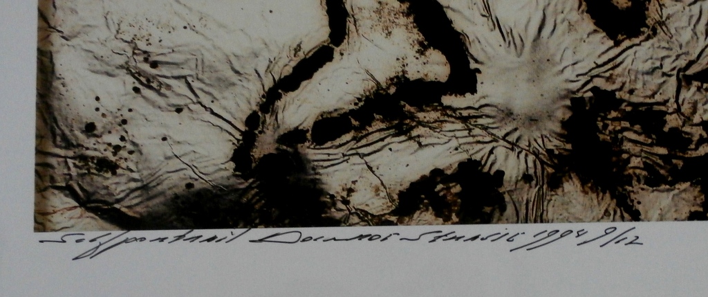 Paul Blanca - foto: Selfportrait - 1994 kopen? Bied vanaf 110!