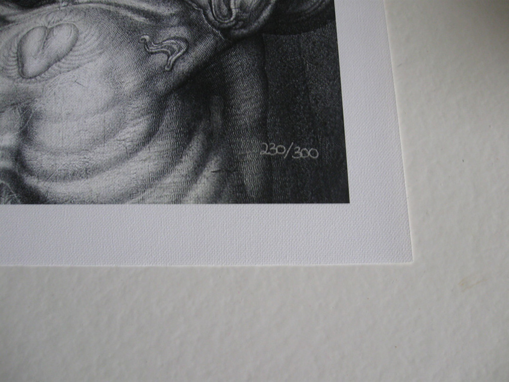 Ernst Fuchs - Der Anti-Laokoon - giclee, handgesigneerd kopen? Bied vanaf 50!