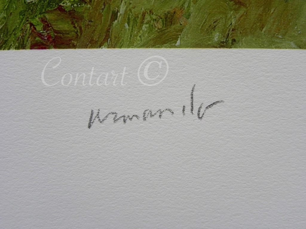 'Waldig' - Giclee - Gesigneerd en Genummerd met de hand - 2015 kopen? Bied vanaf 200!