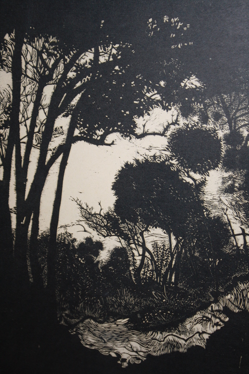 HANS BEERS 1891 - 1979 - HOUTSNEDE WESTERSCHOUWEN / BOS EN DUIN kopen? Bied vanaf 1!