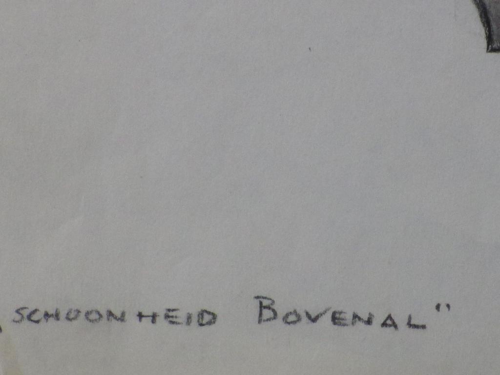 Karel van Seben, Schoonheid Bovenal, Tekening kopen? Bied vanaf 1!