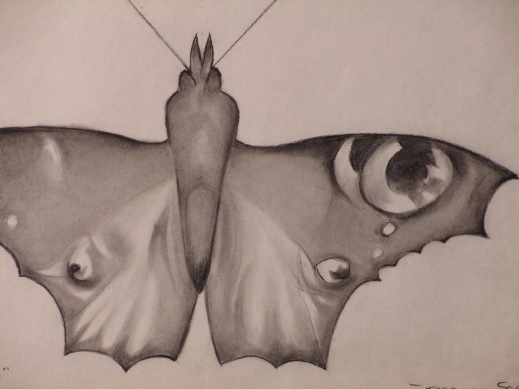 Karel van Seben, Schoonheid Bovenal, Tekening kopen? Bied vanaf 1!