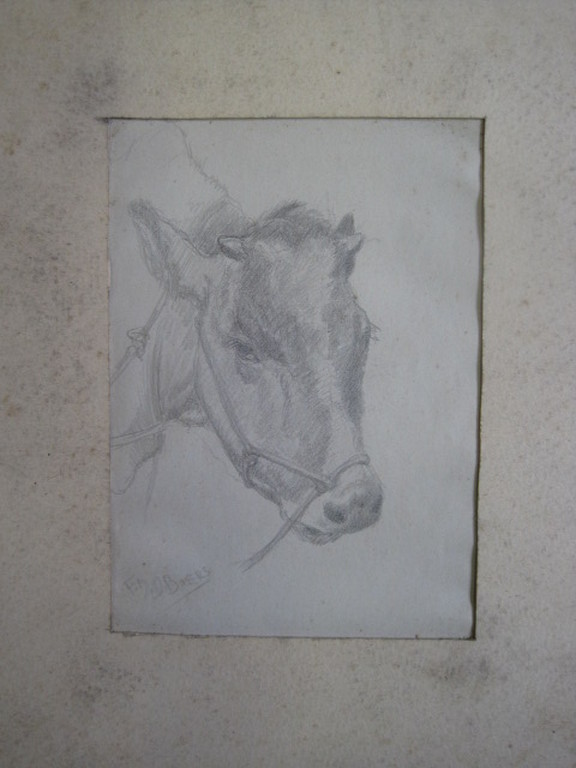 Frans Boers 1914-1987 tekening "Koe" ca. 1950 Laren  kopen? Bied vanaf 1!