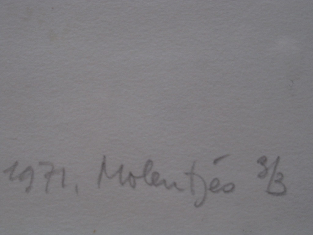Groot gesigneerd 1971 Kalligrafisch Litho "Molentjes" ZEER BEP. OPLAGE 3/3! kopen? Bied vanaf 1!