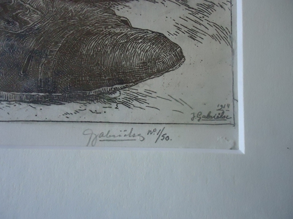  J. Gabrielse - De oude schoenen  kopen? Bied vanaf 1!