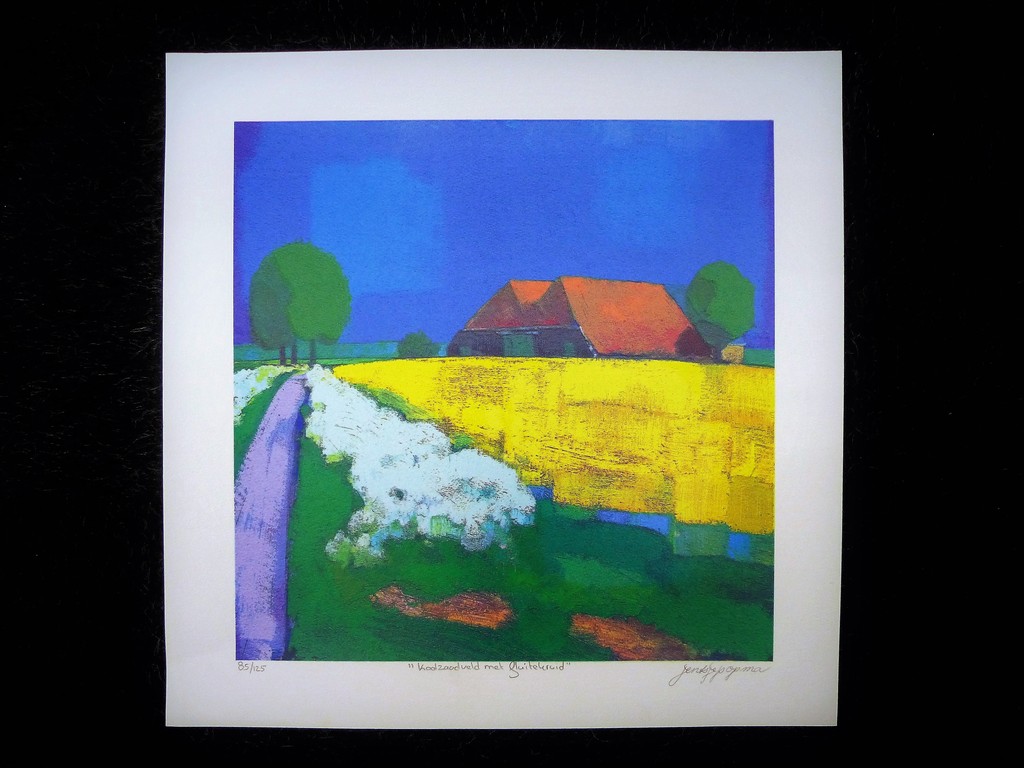 Jentsje Popma,zeefdruk op papier,Koolzaad met fluitekruid,Handgesigneerd verkocht voor € 75!