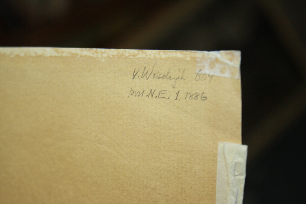 HAVEN MET BOTEN  - WILLEM de ZWART kopen? Bied vanaf 1!