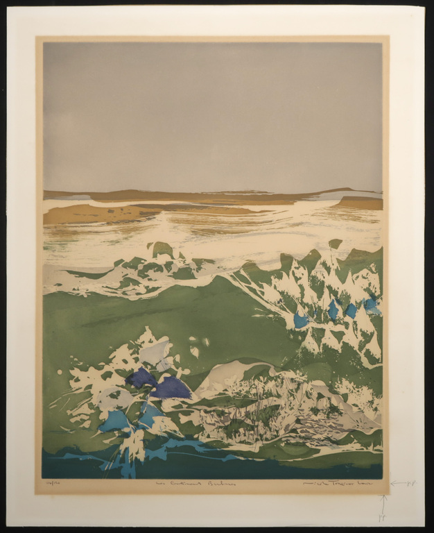 Nicole Tercinet Levin: Aquatint, Les Continents Barbanes kopen? Bied vanaf 1!