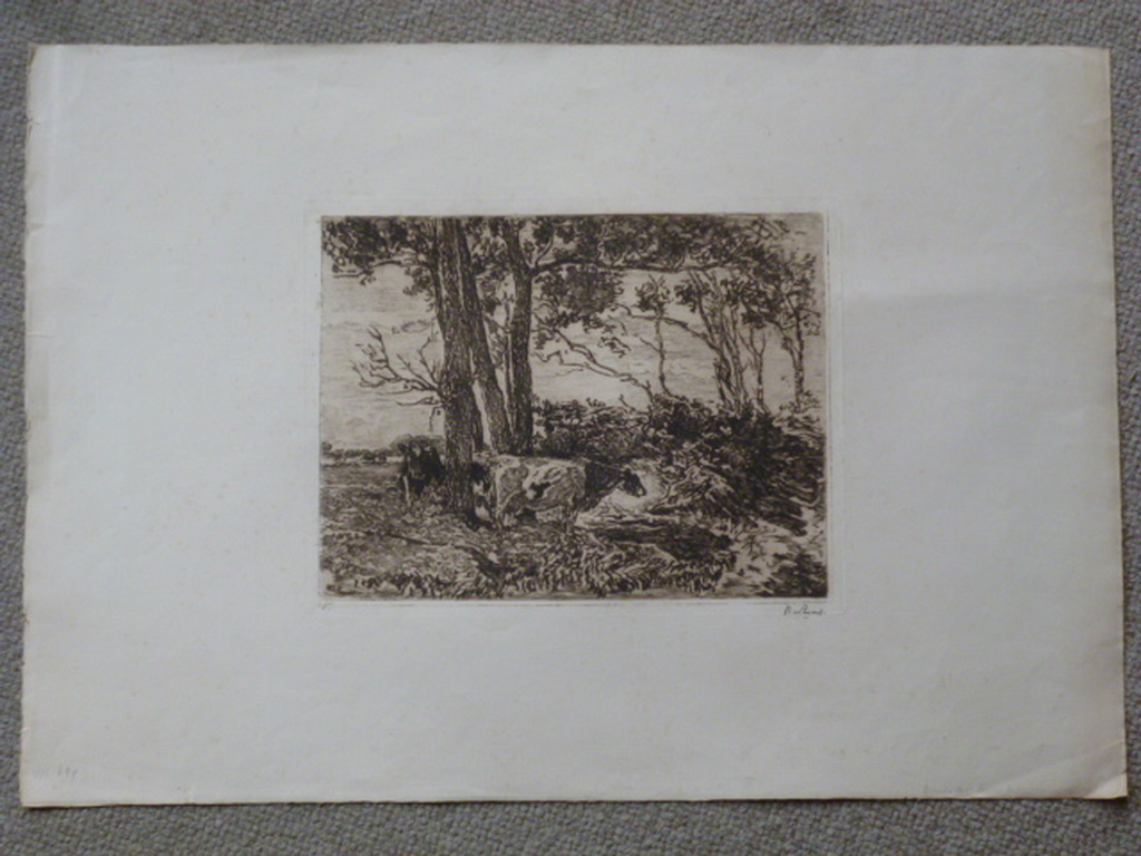 Willem de Zwart - ets - Koeien onder bomen kopen? Bied vanaf 35!