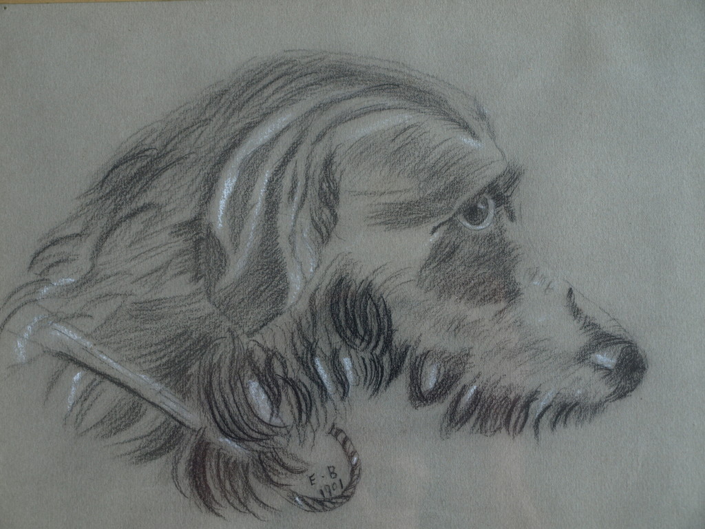 Initialen E. B.  : Tekening ,  Hond – ingelijst - 1901 kopen? Bied vanaf 1!