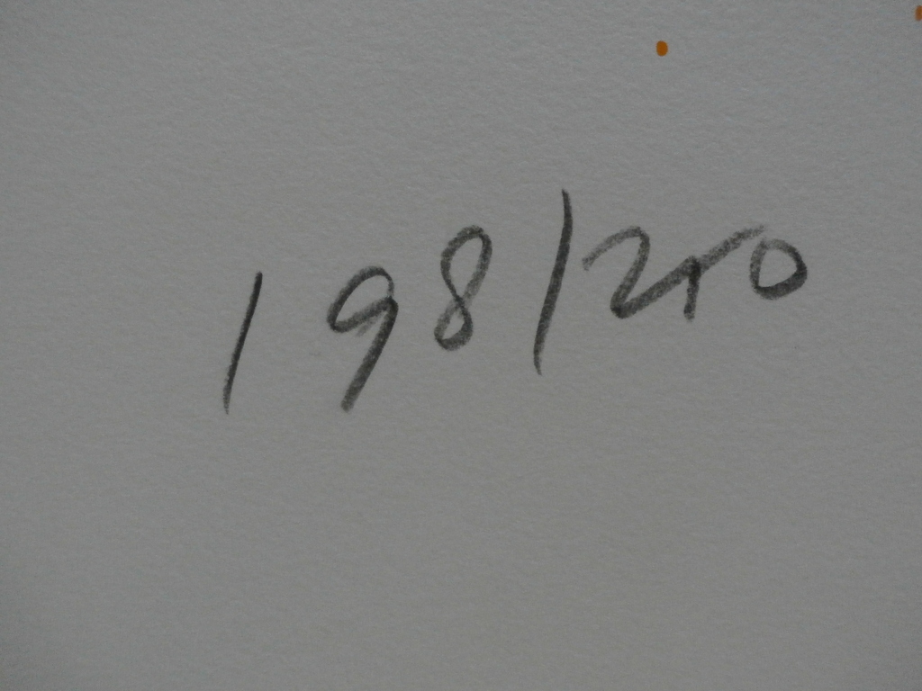 Jan Cremer - Zeefdruk: Tulips - 2001 - Groot! kopen? Bied vanaf 375!