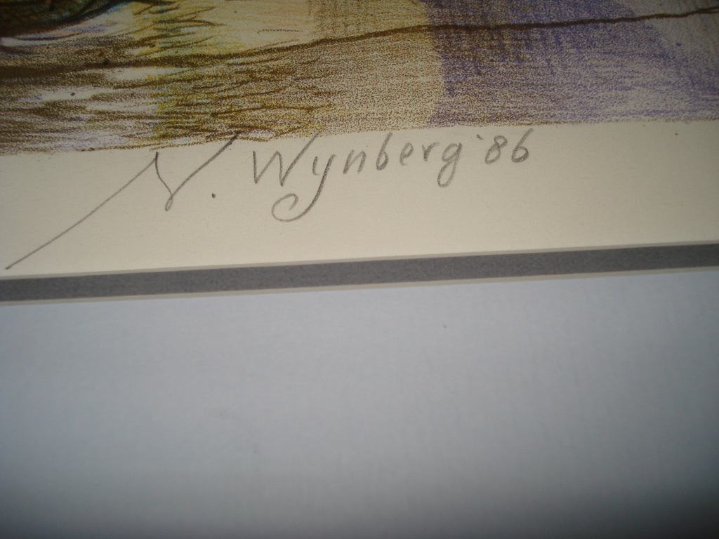 Nicolaas Wijnberg, Kleurenlitho kopen? Bied vanaf 80!
