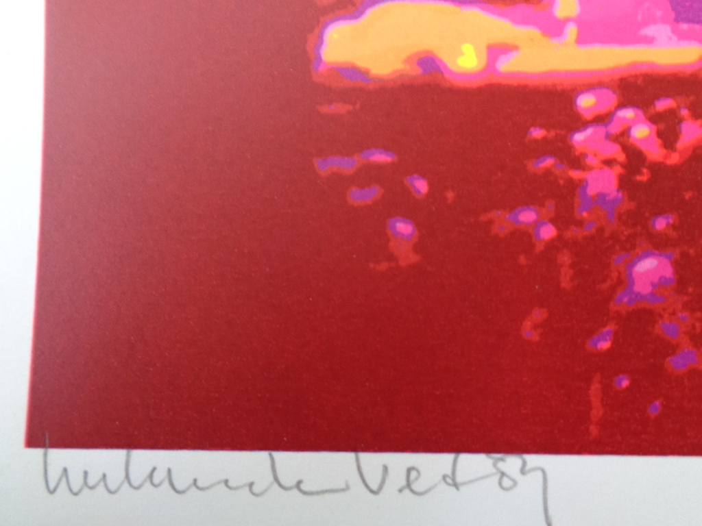 Henk van der Vet, HANDGESIGNEERDE Zeefdruk MADONNA kopen? Bied vanaf 14!