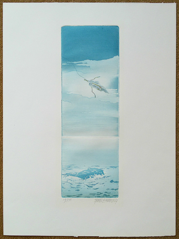 Sjoerd Bakker - Vishaak boven rots in de zee, aquatint ets kopen? Bied vanaf 45!