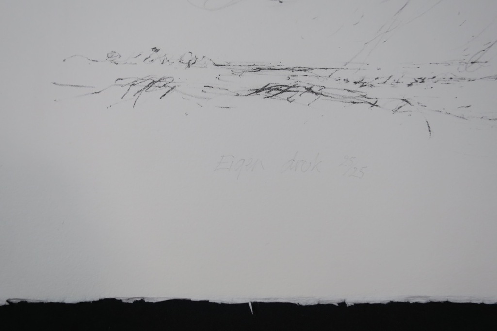 Willem den Ouden Litho, Z.T. kopen? Bied vanaf 1!