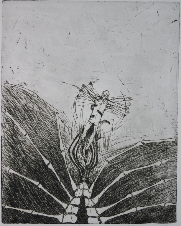 Robert Terwindt: Ets, Icarus II kopen? Bied vanaf 20!