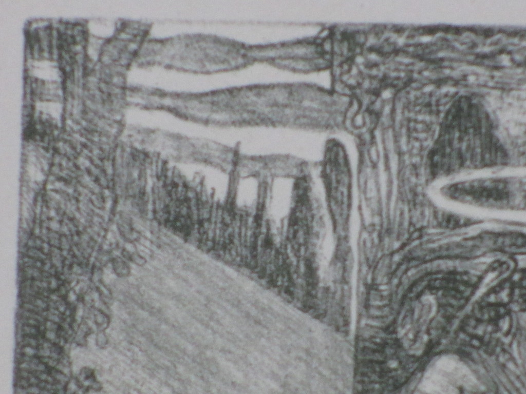 Etienne Bosch, Symbolistische voorstelling, Litho kopen? Bied vanaf 1!