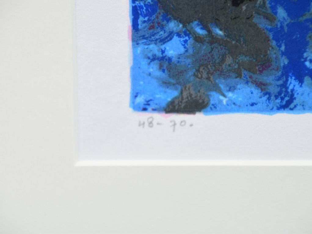 Mattie Schilders - Zeefdruk - Water, bron van leven 4 kopen? Bied vanaf 10!