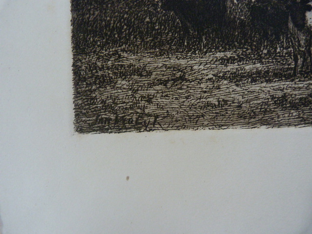 Jan Vrolijk  (  1846 - 1894  )  -  twee etsen. kopen? Bied vanaf 1!