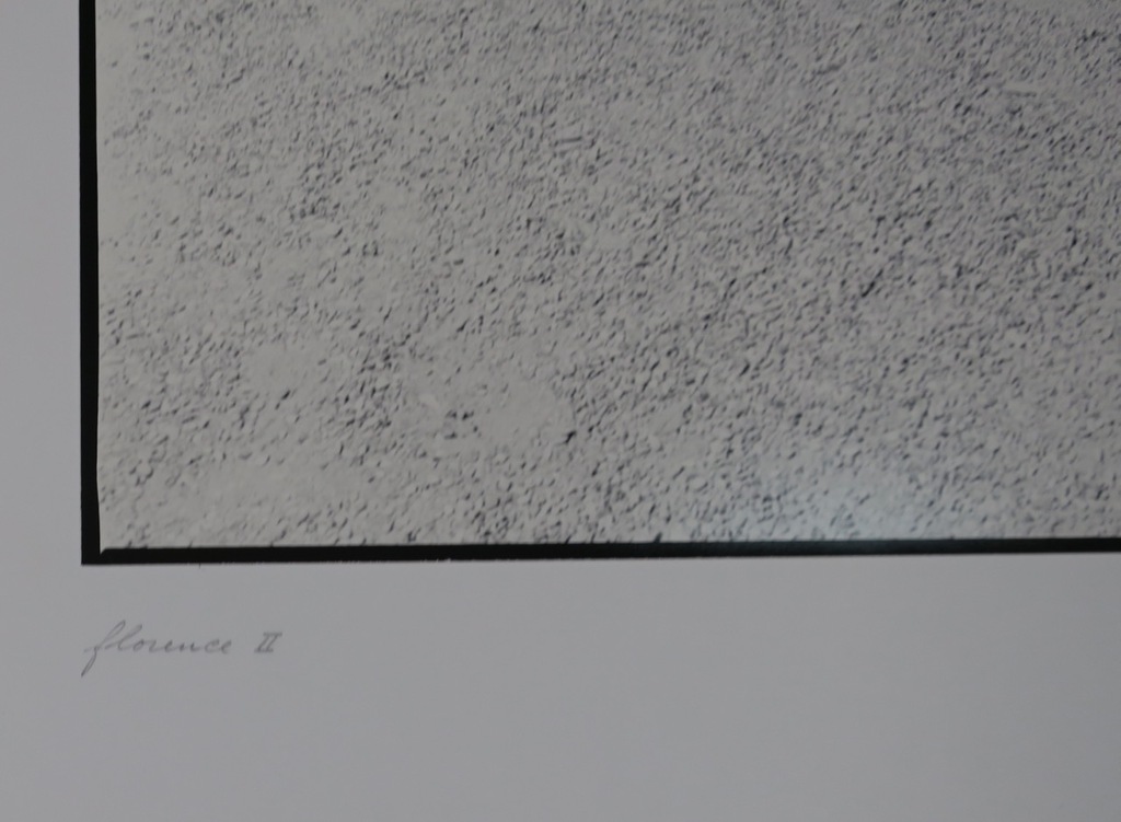 Mark Mulders: Foto, Florence II kopen? Bied vanaf 35!