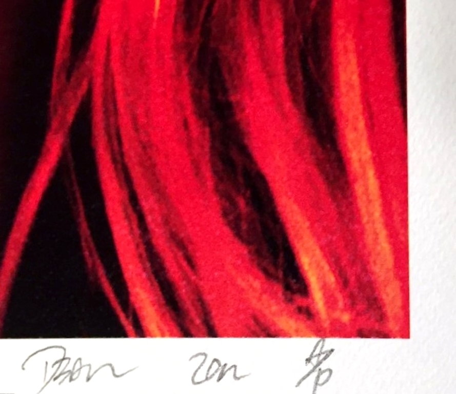 DEATH NYC - "Kate Moss F"- n° A/P - Signed with COA (Edition Artist Proof) kopen? Bied vanaf 1!