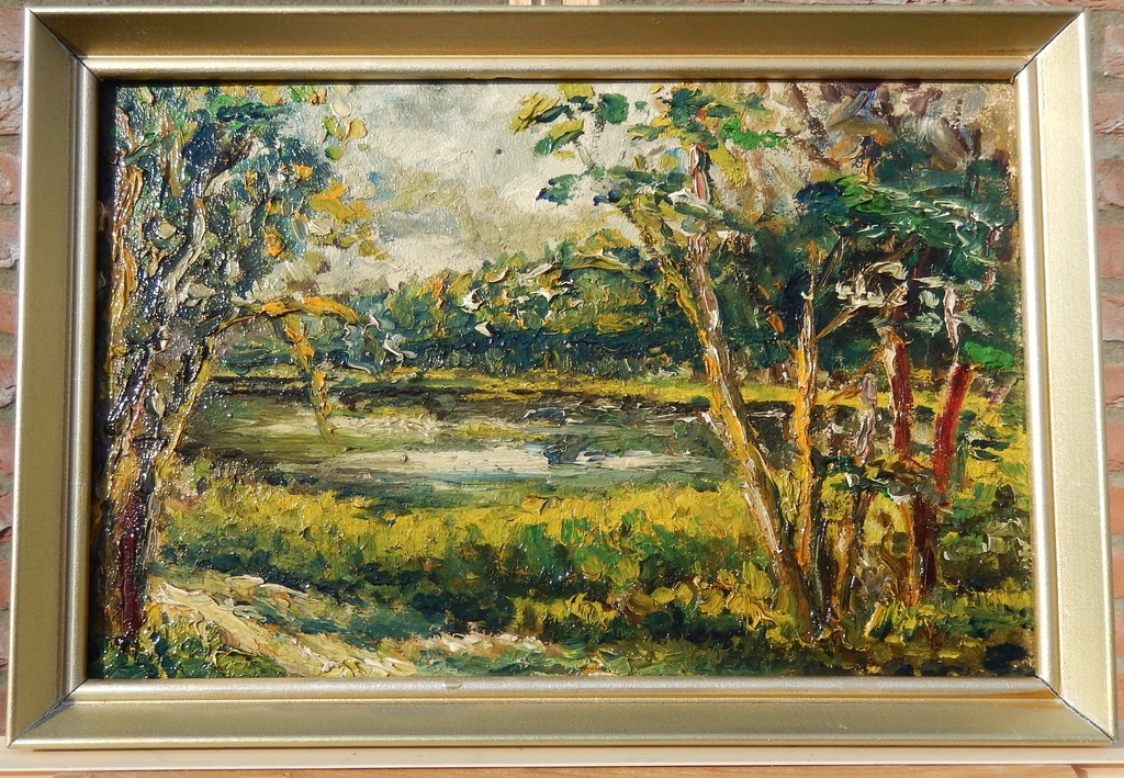 Bosgezicht met een ven kopen? Bied vanaf 25!