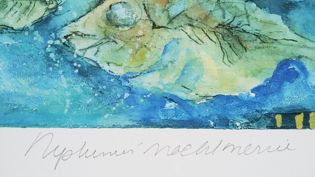 Anne Rensen: Neptunus' nachtmerrie - zeefdruk (ingelijst, groot) kopen? Bied vanaf 1!