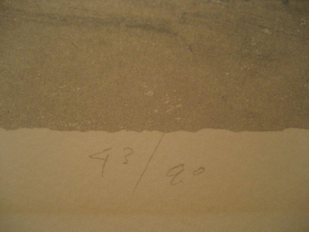 Mart Kempers Kleurenlitho Op de rivier  kopen? Bied vanaf 35!