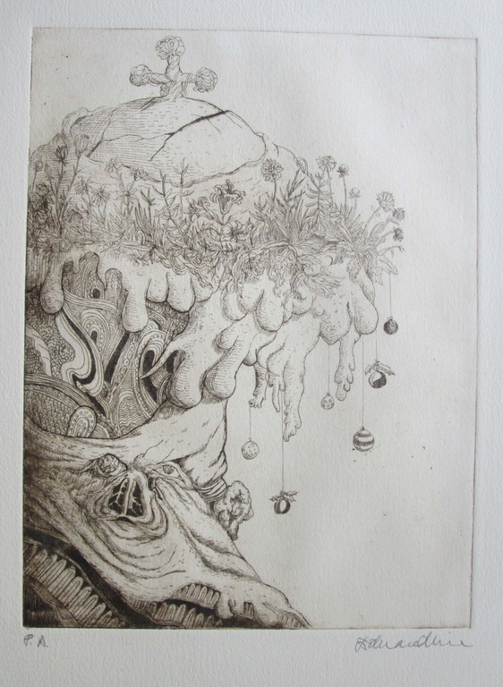 onbekende kunstenaar - ets - handgesigneerd en genummerd met p.a. kopen? Bied vanaf 1!