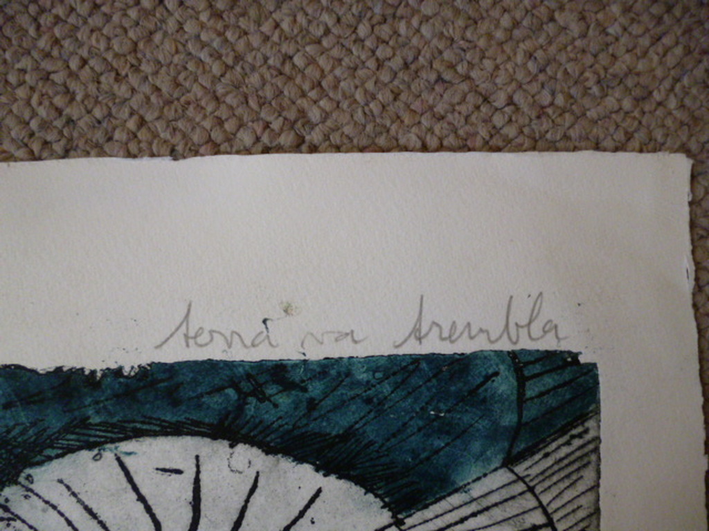 Kees Okx-Kleurets-Terra va trembla kopen? Bied vanaf 35!