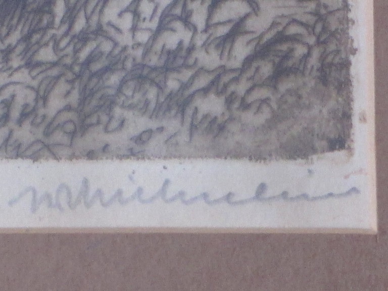 J.C. Nachenius, De Jeneverboom, Ets kopen? Bied vanaf 1!