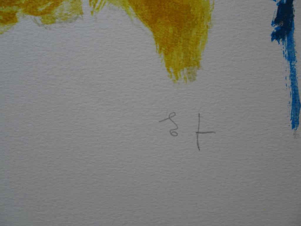 Twee Kleurenzeefdrukken van dezelfde kunstenaar gesigneerd kopen? Bied vanaf 1!