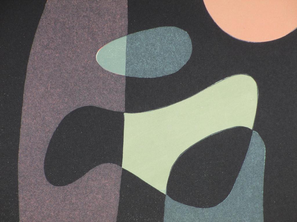 Gijs Koppenhagen, Het donkere fond, Kleurenhoutsnede kopen? Bied vanaf 35!