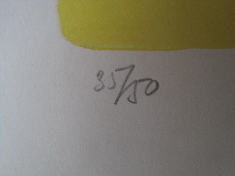 Juul Neumann 1919-1997 - steendruk 35/50  kopen? Bied vanaf 1!