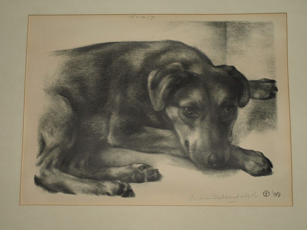 Aart van Dobbenburgh : Litho – Hond – Gesigneerd - 1969 kopen? Bied vanaf 1!