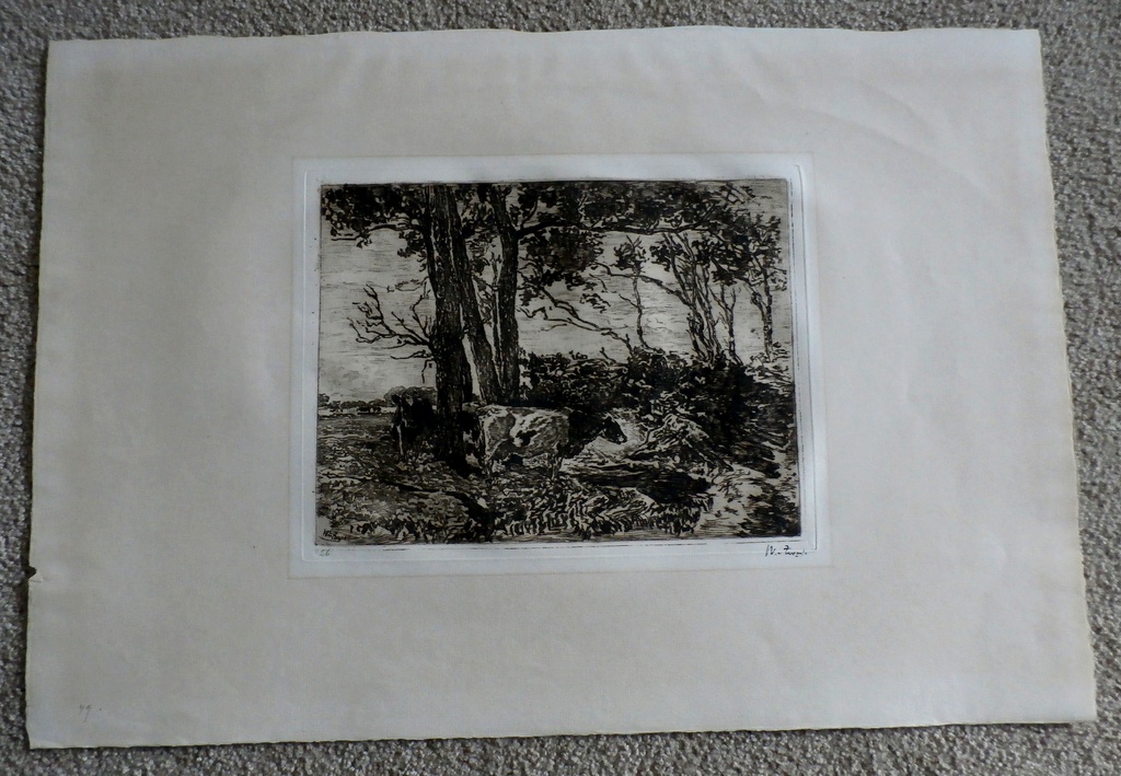 Willem de Zwart - grote ets: Koeien in landschap  kopen? Bied vanaf 40!