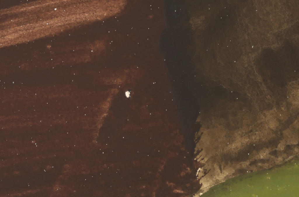 Anton Rovers: Gouache, Schots landschap kopen? Bied vanaf 50!